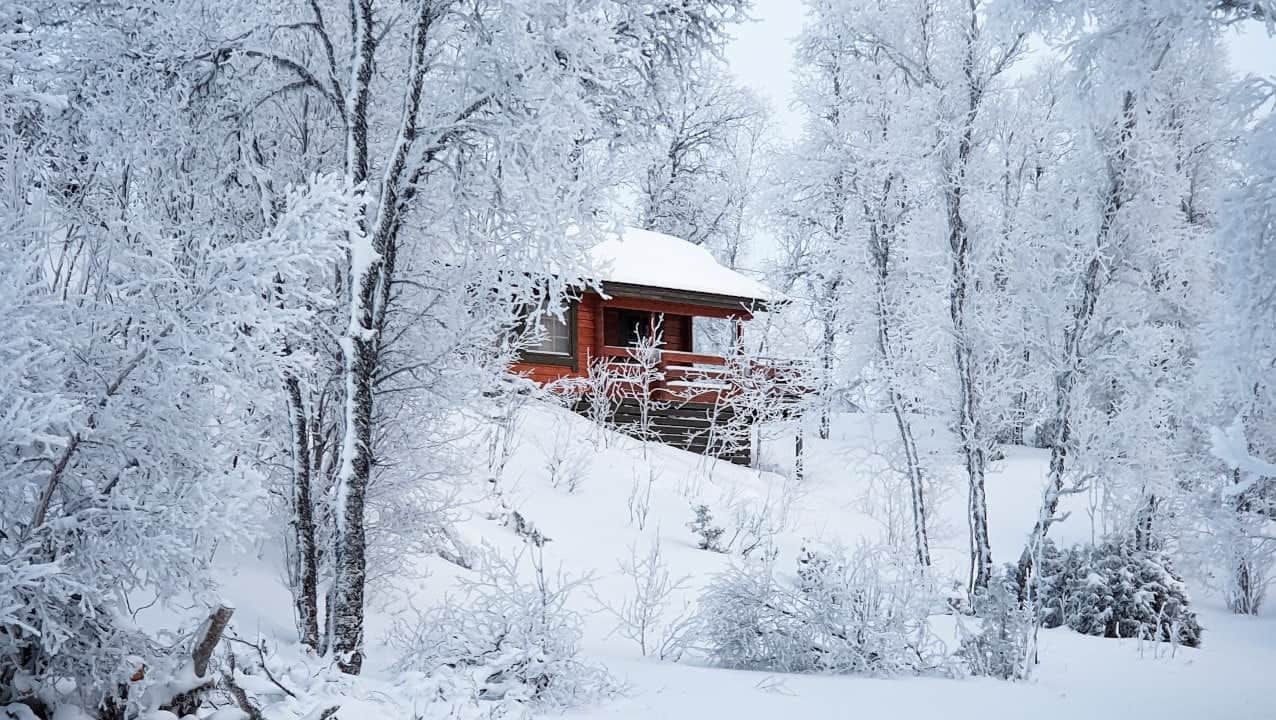 cabin in the woods in winter - home security